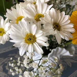 Meet your Posher, Christy